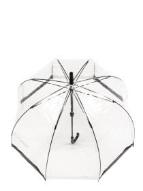 Зонт-трость Fulton Umbrellas Birdcage-1 модель L041-015865 Фото