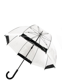 Зонт-трость Fulton Umbrellas Birdcage-1 модель L041-015865 Фото