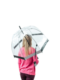 Зонт-трость Fulton Umbrellas Birdcage-1 модель L041-015865 Фото