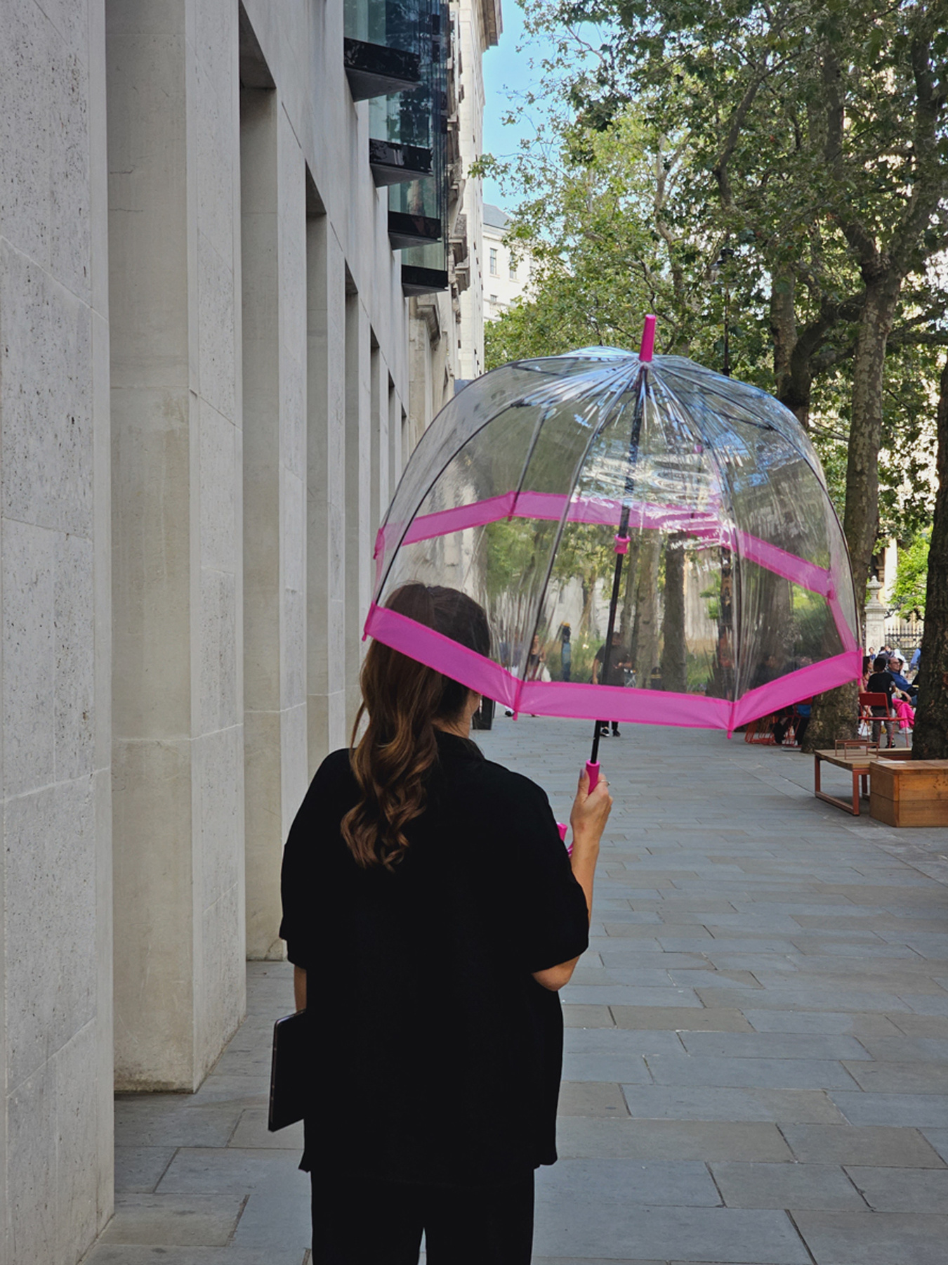 Зонт-трость Fulton Umbrellas Birdcage-1 модель L041-015889 Фото