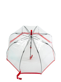 Зонт-трость Fulton Umbrellas Birdcage-1 модель L041-020517 Фото