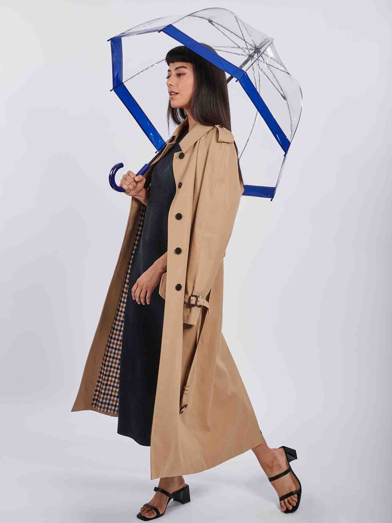 Зонт-трость Fulton Umbrellas Birdcage-1 модель L041-024157 Фото