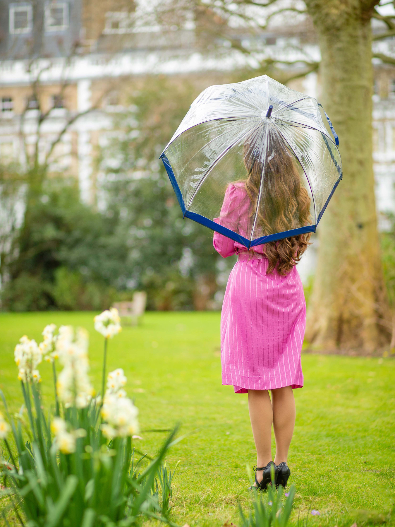 Зонт-трость Fulton Umbrellas Birdcage-1 модель L041-024157 Фото