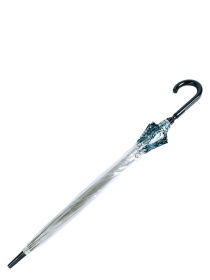 Зонт-трость Fulton Umbrellas Birdcage-2 модель L042-028292 Фото