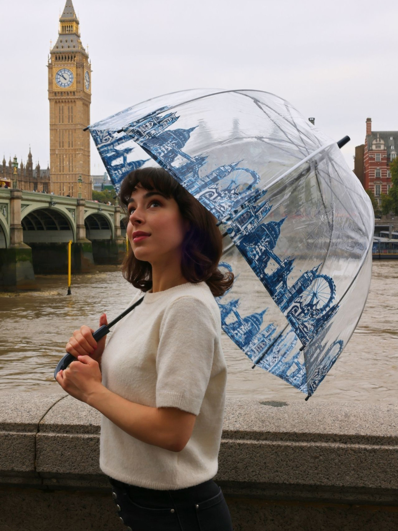 Зонты Fulton Umbrellas Birdcage-2 модель L042-028292 Фото