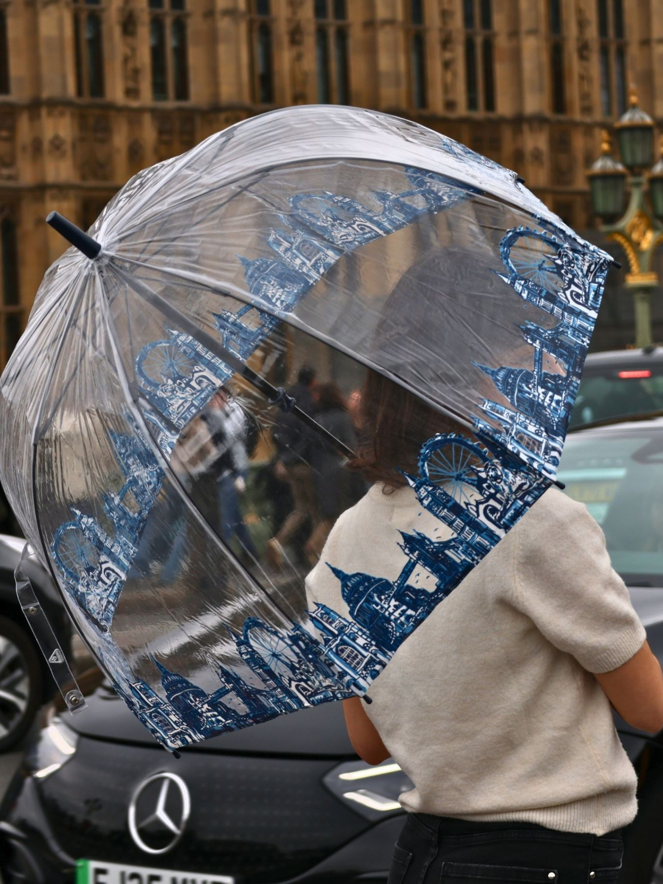 Зонты Fulton Umbrellas Birdcage-2 модель L042-028292 Фото