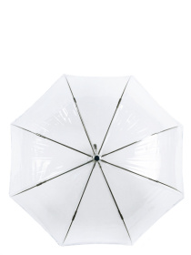 Зонт-трость Fulton Umbrellas Birdcage-2 модель L042-028292 Фото