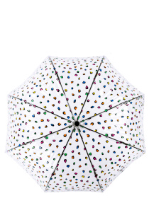 Зонт-трость Fulton Umbrellas Birdcage-2 модель L042-033623 Фото