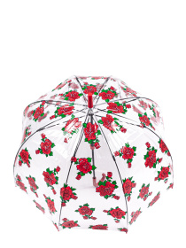 Зонт-трость Fulton Umbrellas Birdcage-2 модель L042-035023 Фото