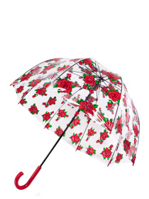 Зонт-трость Fulton Umbrellas Birdcage-2 модель L042-035023 Фото