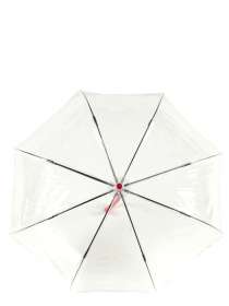 Зонт-трость Fulton Umbrellas Birdcage-2 модель L042-035641 Фото