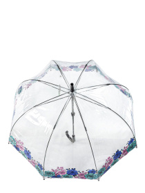 Зонт-трость Fulton Umbrellas Birdcage-2 модель L042-036556 Фото