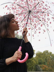 Зонты Fulton Umbrellas Birdcage-2 модель L042-037614 Фото