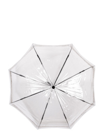 Зонт-трость Fulton Umbrellas Birdcage-2 модель L042-039687 Зонт-трость Fulton Umbrellas Birdcage-2 модель L042-039687 Фото