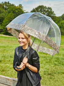 Зонт-трость Fulton Umbrellas Birdcage-2 модель L042-039687 Зонт-трость Fulton Umbrellas Birdcage-2 модель L042-039687 Фото