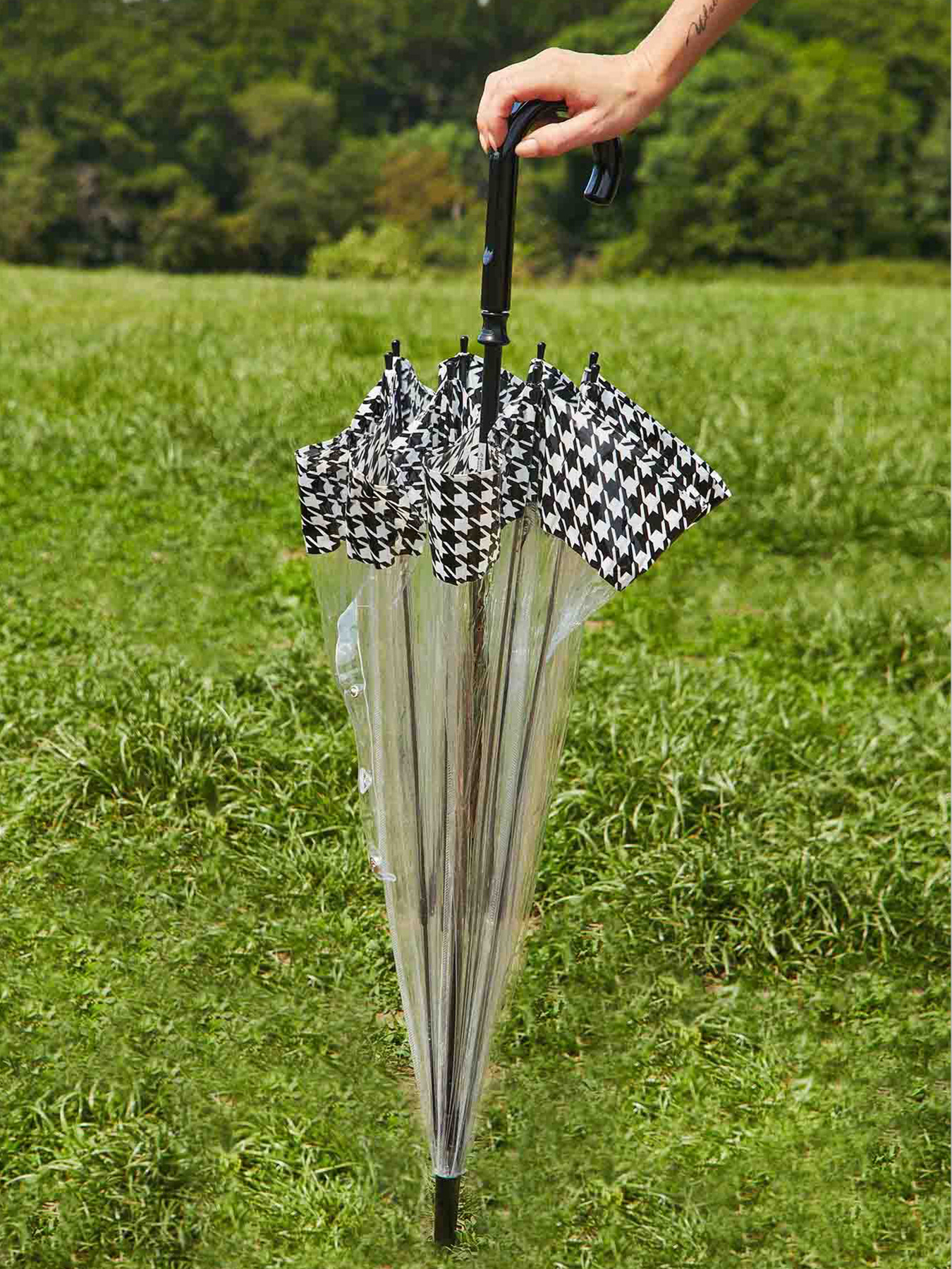 Зонт-трость Fulton Umbrellas Birdcage-2 модель L042-039694 Фото