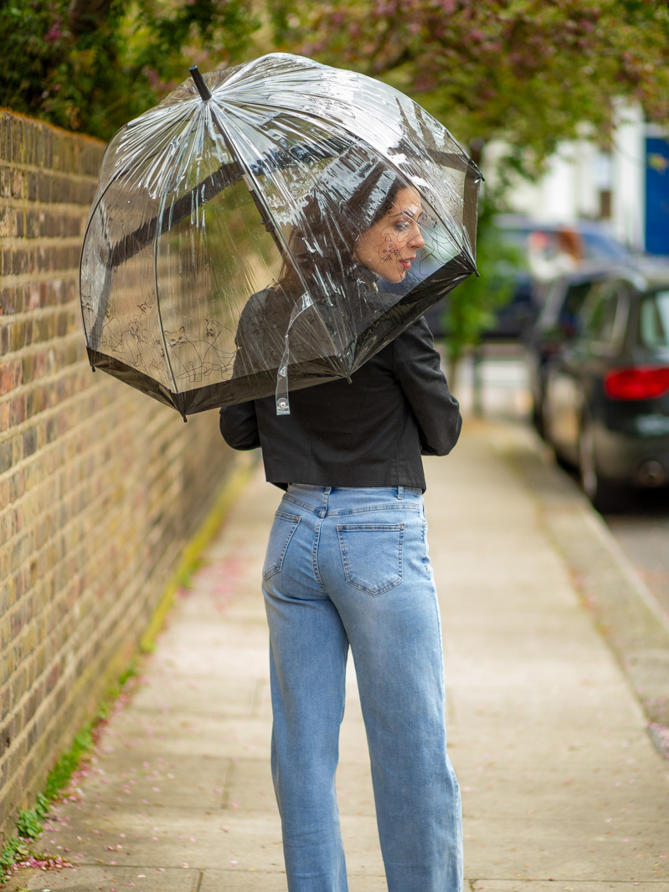 Зонт-трость Fulton Umbrellas Birdcage-2 модель L042-041215 Фото