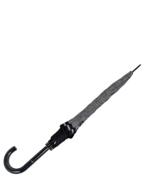 Зонт-трость Fulton Umbrellas Riva Auto-2 модель L065-020395 Фото