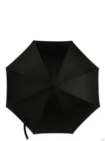 Зонт-трость Fulton Umbrellas Bloomsbury-2 модель L754-033524 Зонт-трость Fulton Umbrellas Bloomsbury-2 модель L754-033524 Фото