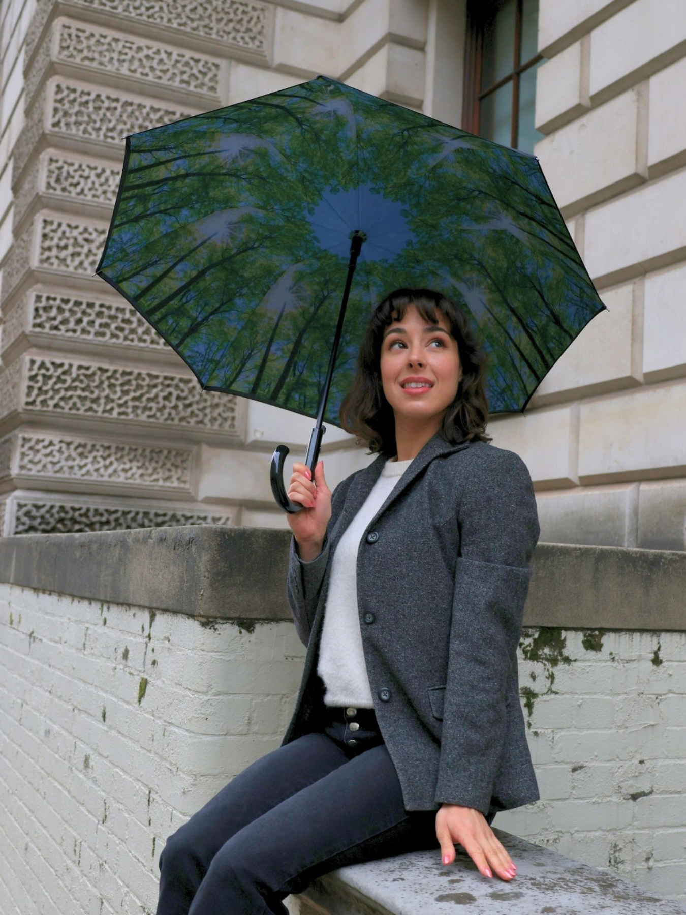 Зонты Fulton Umbrellas Bloomsbury-2 модель L754-036600 Фото