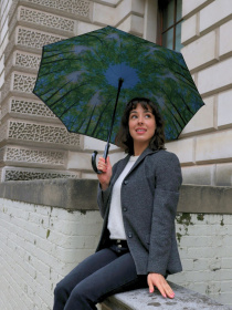 Зонты Fulton Umbrellas Bloomsbury-2 модель L754-036600 Фото