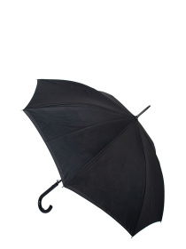 Зонт-трость Fulton Umbrellas Bloomsbury-2 модель L754-038796 Зонт-трость Fulton Umbrellas Bloomsbury-2 модель L754-038796 Фото