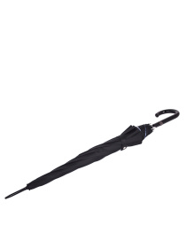 Зонт-трость Fulton Umbrellas Bloomsbury-2 модель L754-038796 Зонт-трость Fulton Umbrellas Bloomsbury-2 модель L754-038796 Фото