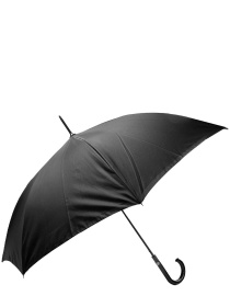 Зонт-трость Fulton Umbrellas Bloomsbury-2 модель L754-039328 Фото