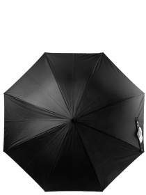Зонт-трость Fulton Umbrellas Bloomsbury-2 модель L754-039328 Фото