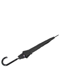 Зонт-трость Fulton Umbrellas Bloomsbury-2 модель L754-039762 Фото