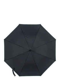 Зонт-трость Fulton Umbrellas Bloomsbury-2 модель L754-041000 Зонт-трость Fulton Umbrellas Bloomsbury-2 модель L754-041000 Фото