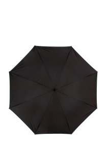 Зонт-трость Fulton Umbrellas Bloomsbery-2 модель L847-038468 Фото