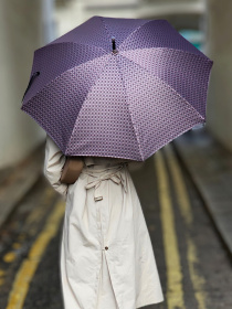 Зонт-трость Fulton Umbrellas Diamond Princess модель L850-035139 Фото