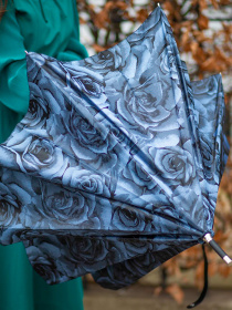 Зонт-трость Fulton Umbrellas Diamond Princess модель L850-040140 Фото