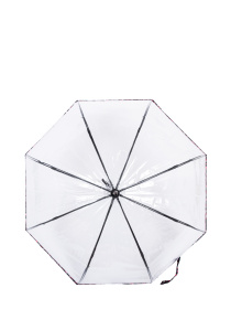 Зонт-трость Fulton Umbrellas Birdcage-2 модель L866-040027 Фото