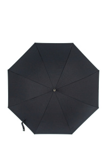 Зонт-трость Fulton Umbrellas Hampstead-1 модель L893-037577 Фото