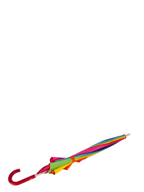 Зонт-трость Fulton Umbrellas Walker-1 модель L909-040416 Фото