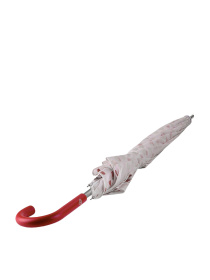 Зонт-трость Fulton Umbrellas Walker-1 модель L909-041031 Фото