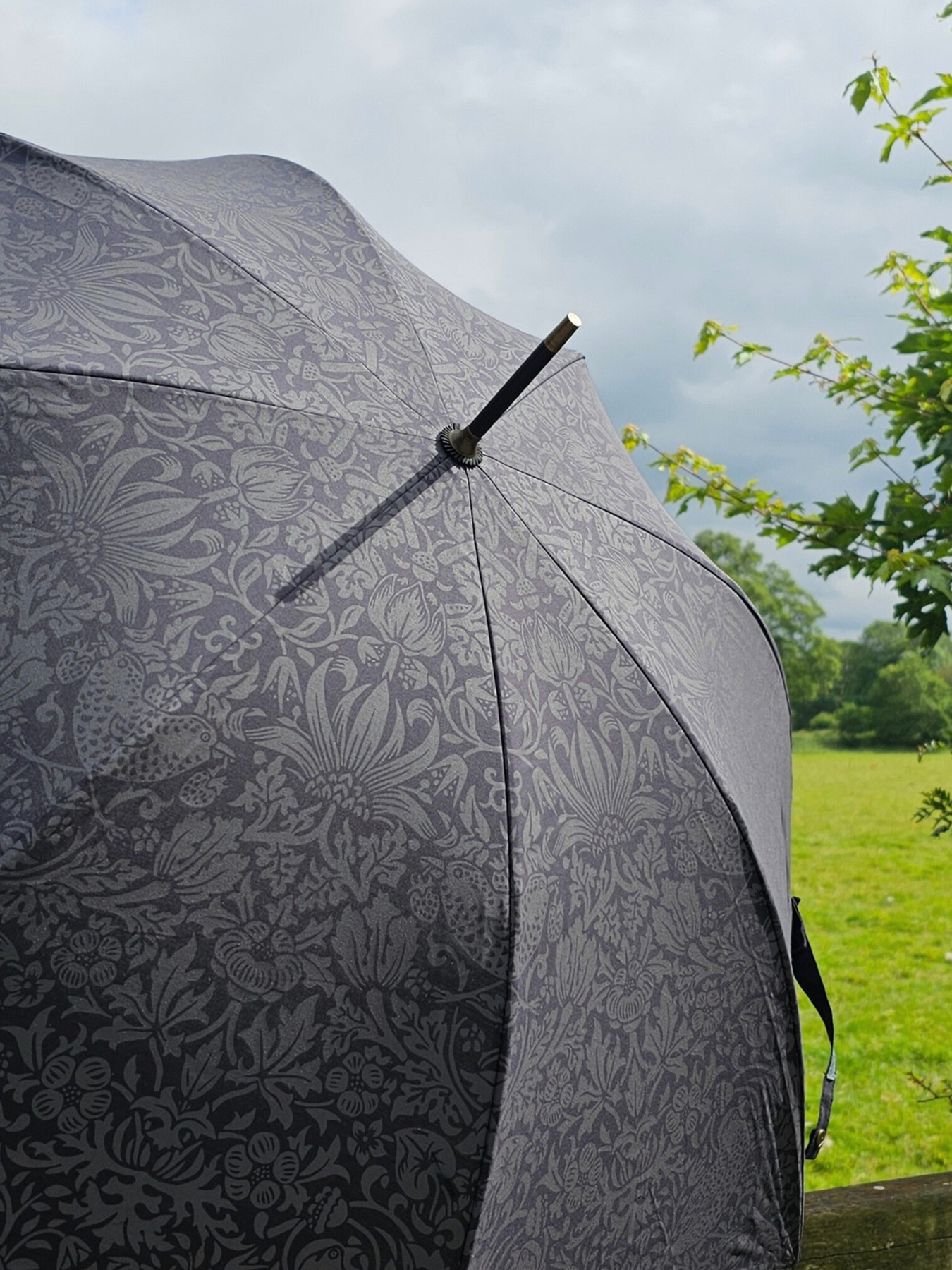 Зонт-трость Fulton Umbrellas Hampstead модель L936-040706 Фото