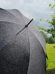 Зонт-трость Fulton Umbrellas Hampstead модель L936-040706 Фото