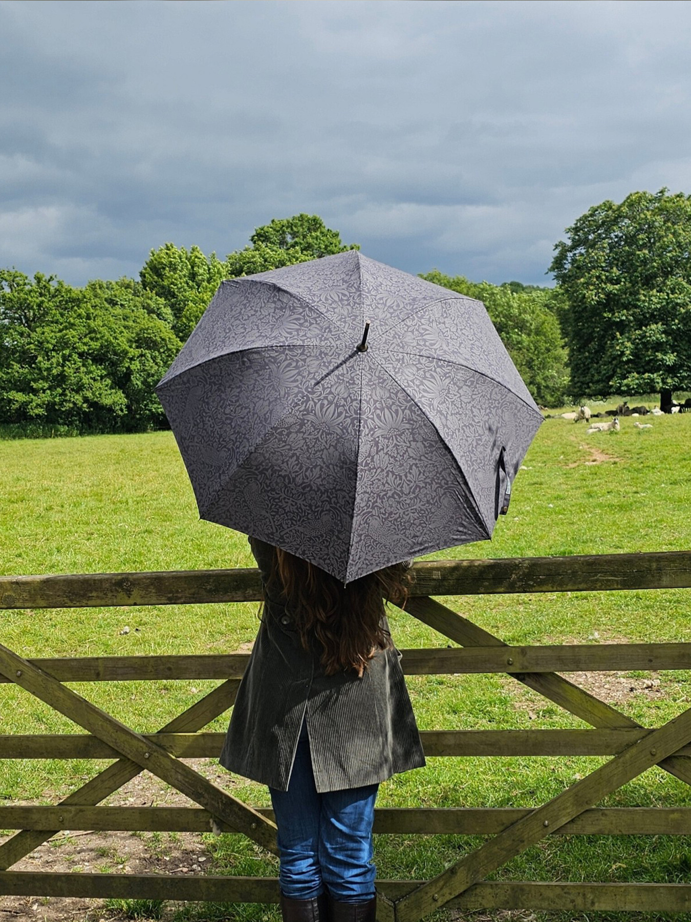 Зонт-трость Fulton Umbrellas Hampstead модель L936-040706 Фото