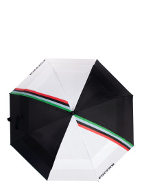 Зонт-трость Fulton Umbrellas Stormshield-2 модель S919-039861 Фото