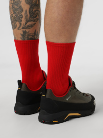 Носки Ейсік модель Chervony Носки Ейсік модель Chervony Фото