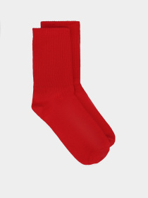 Носки Ейсік модель Chervony Носки Ейсік модель Chervony Фото
