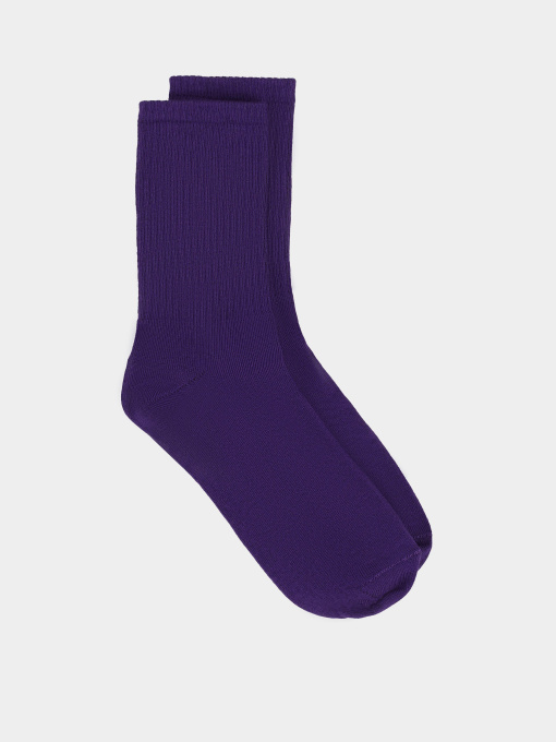 Носки Ейсік модель Fioletovy Фото