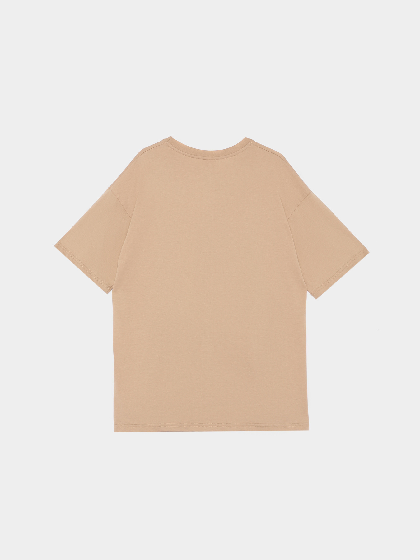 Футболка Ейсік Оверсайз модель Svitlo-Koruchnevyi Фото