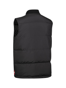 Утепленный жилет Trespass NEPTUNE модель MAJKGITR0020 Утепленный жилет Trespass NEPTUNE модель MAJKGITR0020 Фото