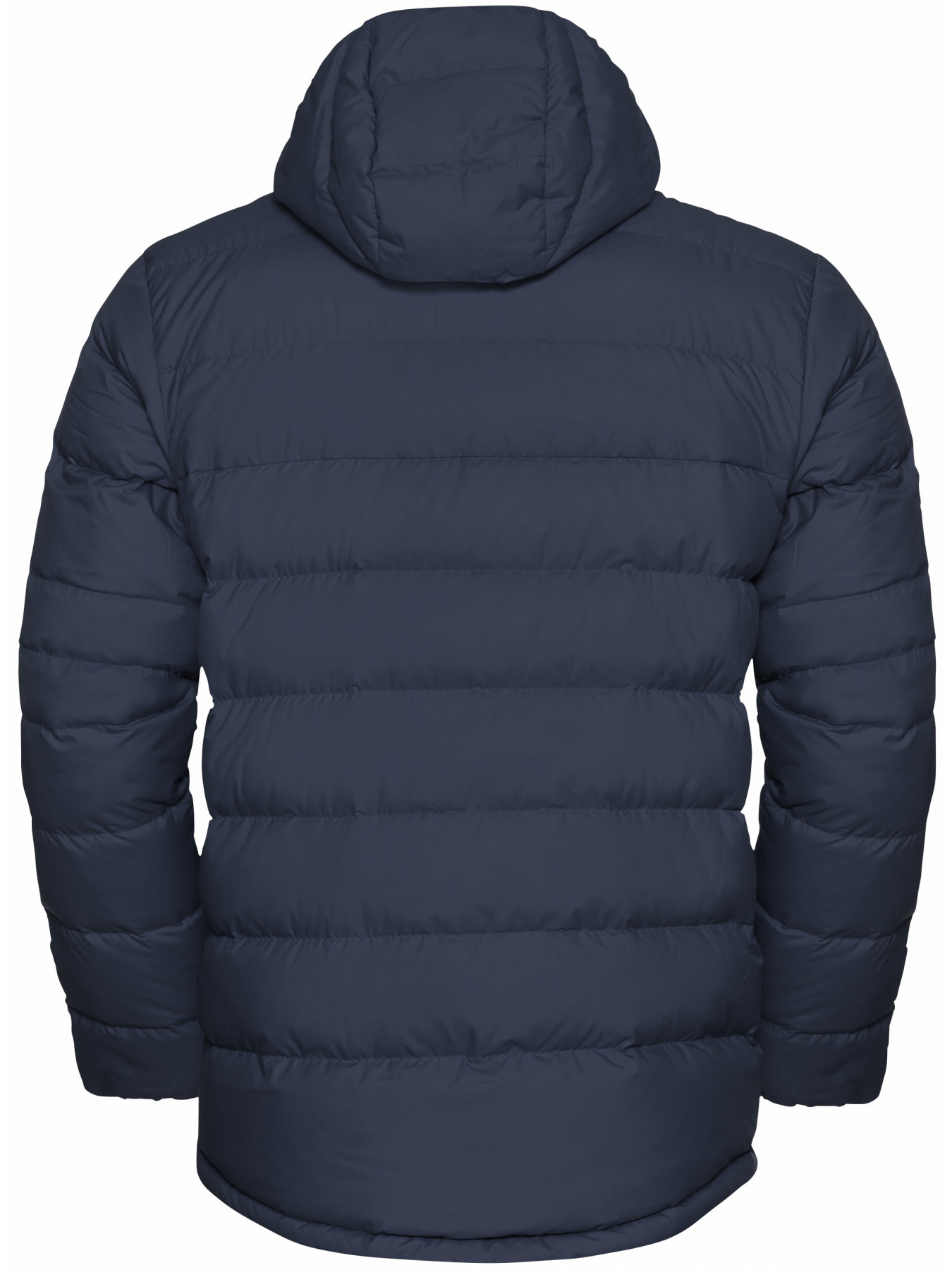 Куртки и дубленки Jack Wolfskin Ather down hoody m rds модель 1207671_T0352 Фото