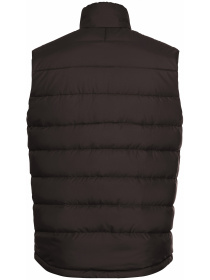 Жилет з утеплювачем Jack Wolfskin Ather down vest m rds модель 1207691_D0108 Фото