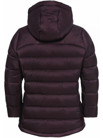 Пуховик Jack Wolfskin Nebelhorn down hoody w rds модель A61829_I0116 Фото